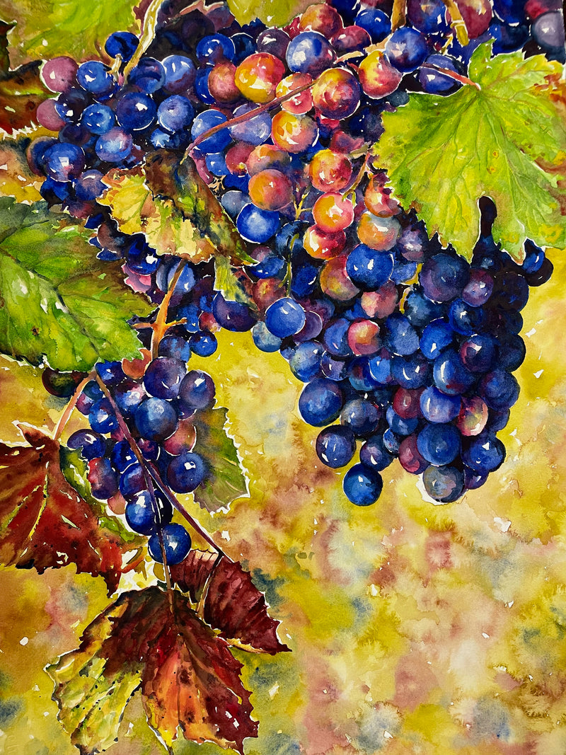Blue and Red berries on a bush with green leaves turning fall colors