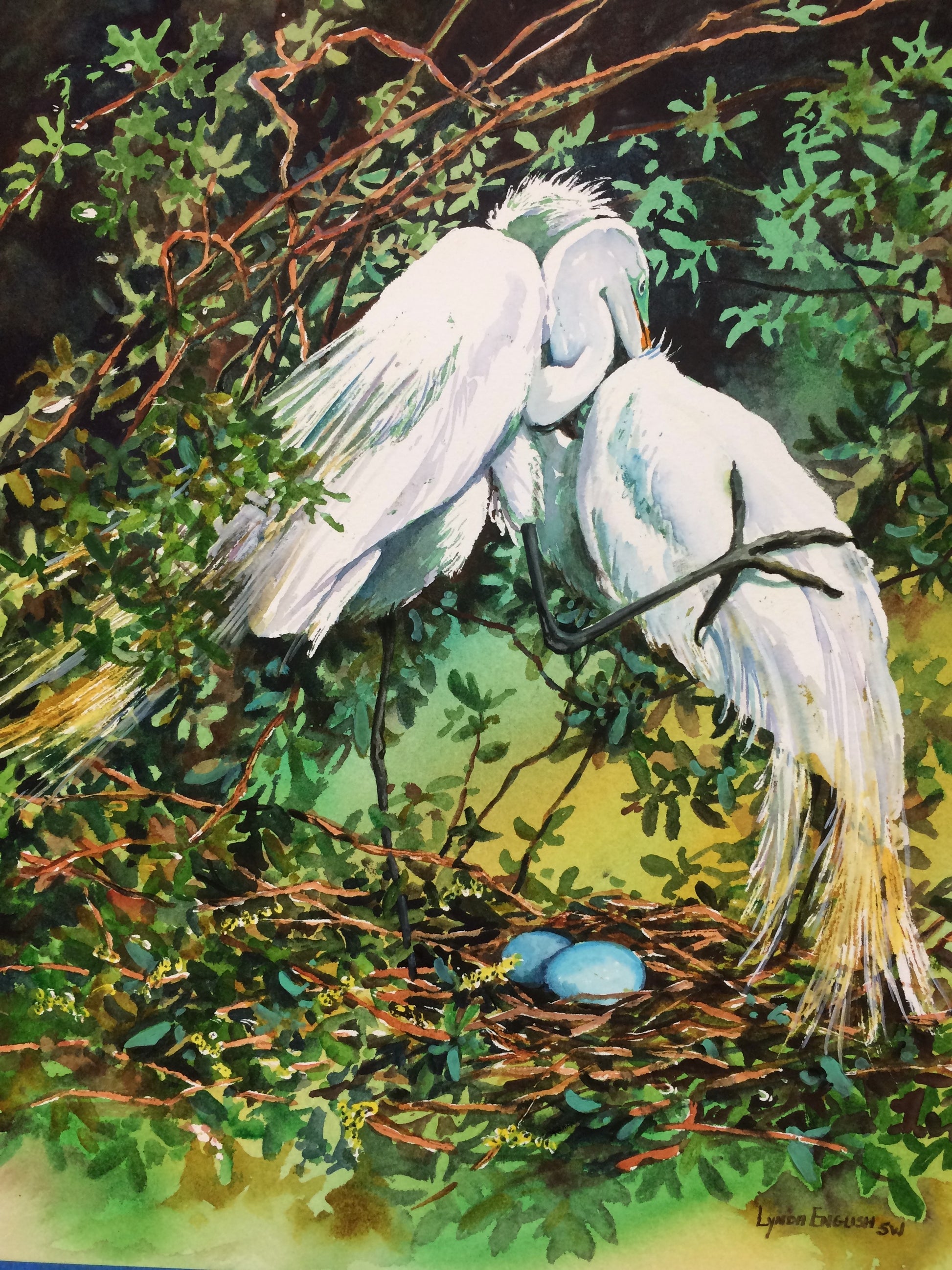 Two white birds on a branch with a nest and eggs in the background