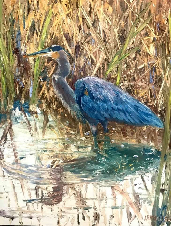 Blue heron in a marshy area with reeds and water
