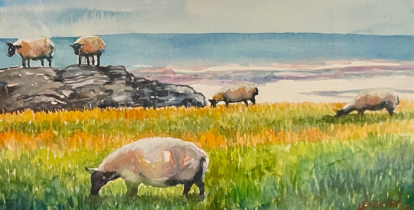Sheep of the Lake District